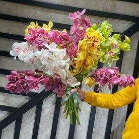 Нежные чувства