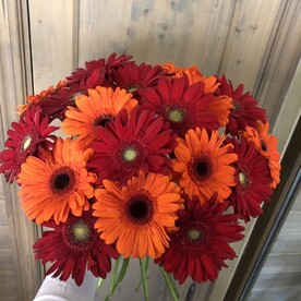 БУКЕТ ИЗ 23 ГЕРБЕР
