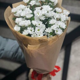 7 кустовых хризантем