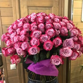 101 сиреневая роза