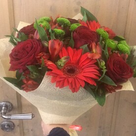 Оттенки красного