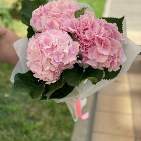 ЭЛЕГАНТНОСТЬ