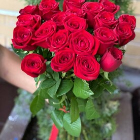 Стиль и грация