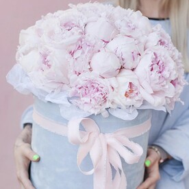 Розовая сказка