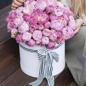 В порыве чувств