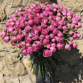 Наслаждающийся миром