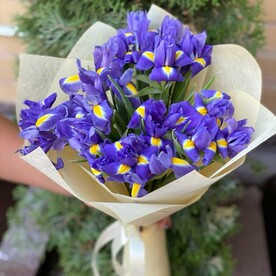 Летний бриз