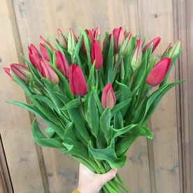 Красное небо