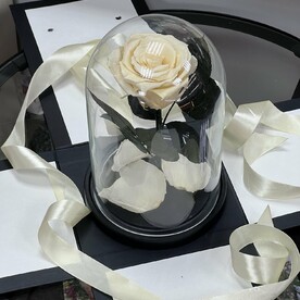 Бежевая «Мини» Роза в колбе в подарочной коробке- живет 5 лет! 22 см