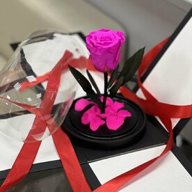 Фуксия «Мини» Роза в колбе в подарочной коробке- живет 5 лет! 22 см