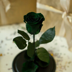 Зелёная «Мини» Роза в колбе в подарочной коробке- живет 5 лет. 22 см