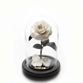 Белая «VIP» Роза в колбе в подарочной коробке- живет 5 лет. 29 см