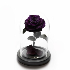 Темно Фиолетовая «VIP» Роза в колбе в подарочной коробке- живет 5 лет. 29 см