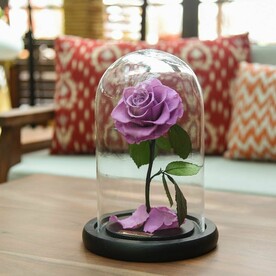 Лиловая «VIP» Роза в колбе в подарочной коробке- живет 5 лет. 29 см