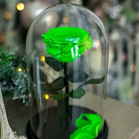 Салатовая «VIP» Роза в колбе в подарочной коробке- живет 5 лет. 29 см