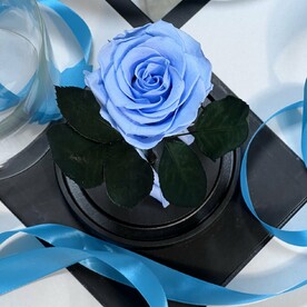 Голубая «Премиум» Роза в колбе в подарочной коробке- живет 5 лет. 26 см