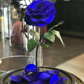 Синяя «Люкс» Роза в колбе в подарочной коробке- живет 5 лет. 32 см