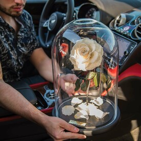 Кремовая «Люкс» Роза в колбе в подарочной коробке- живет 5 лет. 32 см