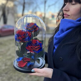 Красно-синее Трио «Люкс» розы в колбе в подарочной коробке /32 см