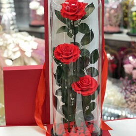 Трио «Лонг» из красных роз в стекле высотой 62 см в подарочной коробке -живет 5 лет!