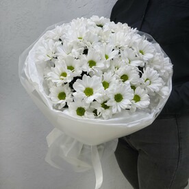 Кустовые хризантемы ромашки