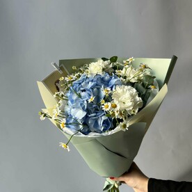 Гортензия Воздушный поцелуй