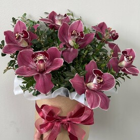 Коробка из орхидей