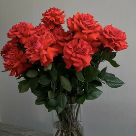 Французские розы