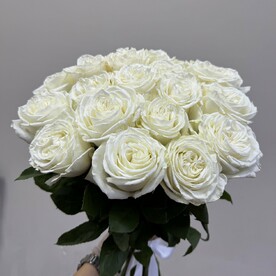 Премиальная пионовидная роза плая бланка