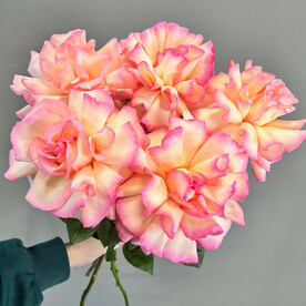 Французские розы