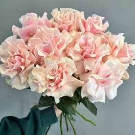 Французские розы