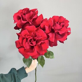 Французские розы