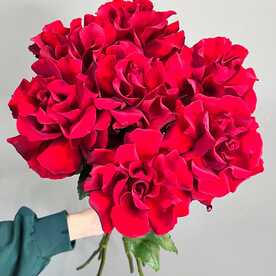 Французские розы