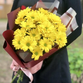 5 желтых хризантем в упаковке