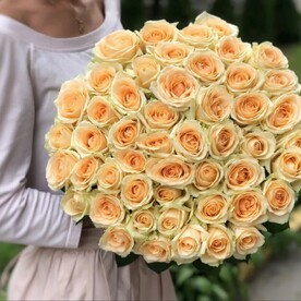 51 персиковая подмосковная роза