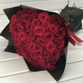 55 бордовых подмосковных роз