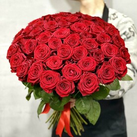 51 бордовая подмосковная роза