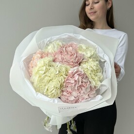 Монобукет "ГОРТЕНЗИЯ" 7 шт, белый и розовый цвет