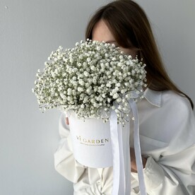 КОРОБКА ГИПСОФИЛЫ МИНИ