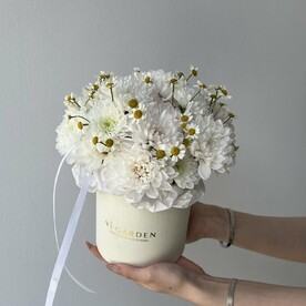 БОКС "ХРИЗА-РОМАШКА"