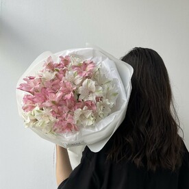 БУКЕТ «МОНО АЛЬСТРОМЕРИЯ», 9шт