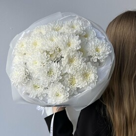 ХРИЗАНТЕМА 5