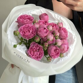 РОЗА «МИСТИ БАБЛЗ» 3