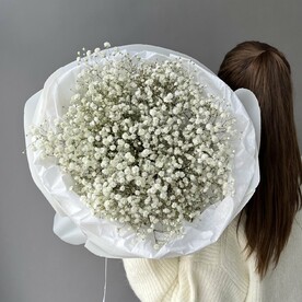 ГИПСОФИЛА 7