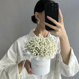 БОКС «ГИПСОФИЛА» размер xs