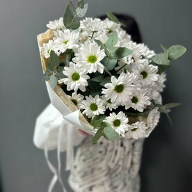 Букеттстойких хризантем ромашки