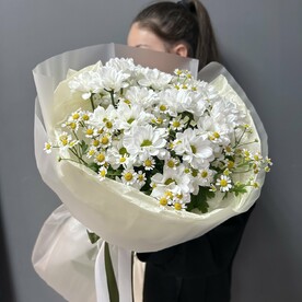 Ромашковое поле