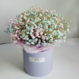 Гипсофила в коробке