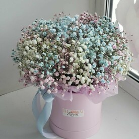 Гипсофила в коробке