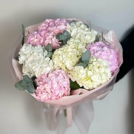 Бело-розовая гортензия с эвкалиптом в воздушной упаковке